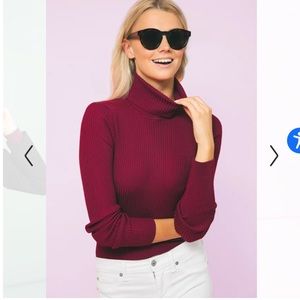 NWOT Tuckernuck 525 America Plum Turtleneck